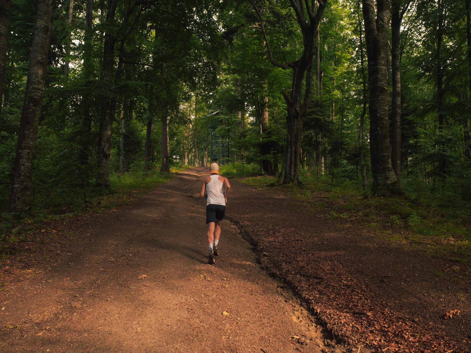 Parcours interactifs