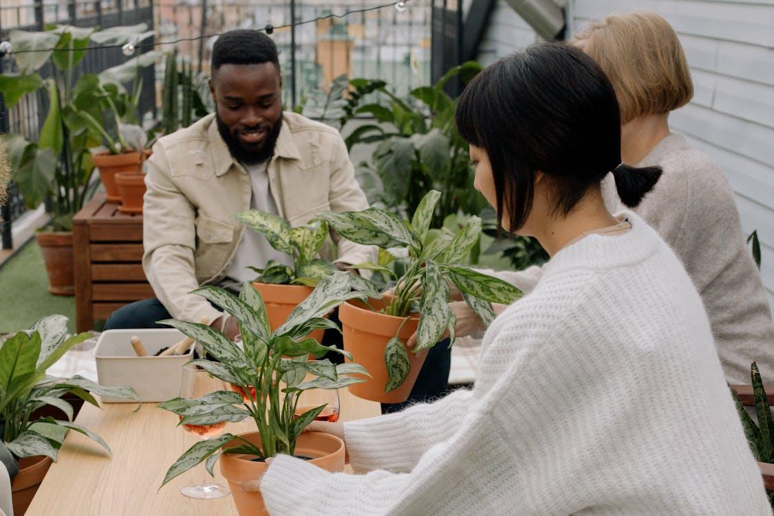Groupe de personnes faisant du jardinage communautaire, activité associative et partenariats