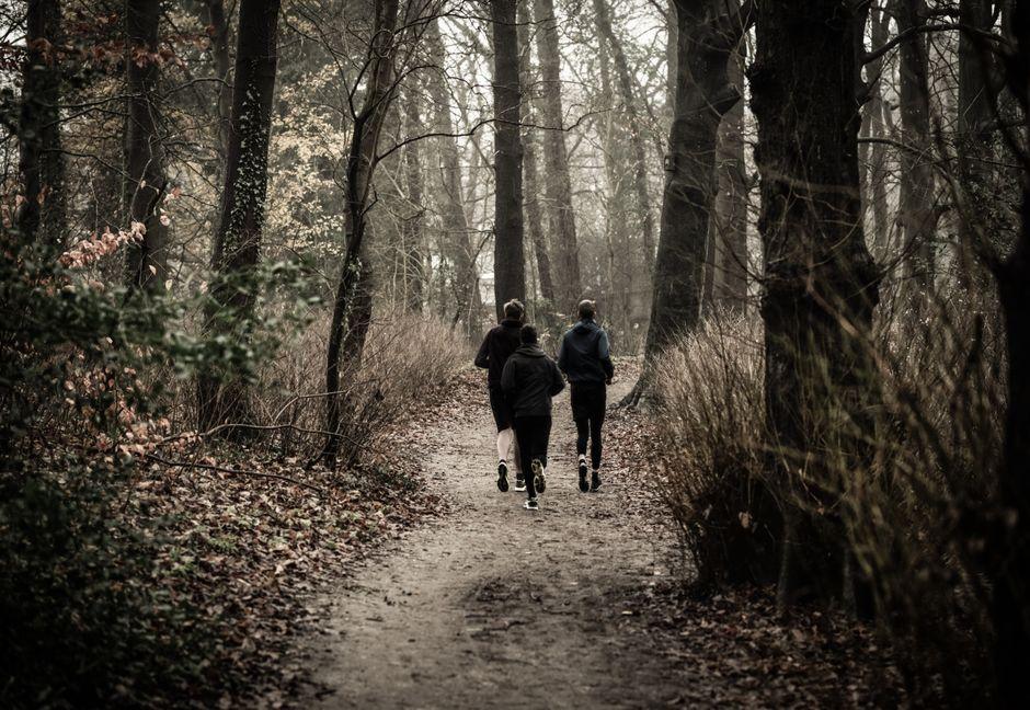 Three joggers running through a scenic autumn forest, capturing the essence of outdoor fitness.